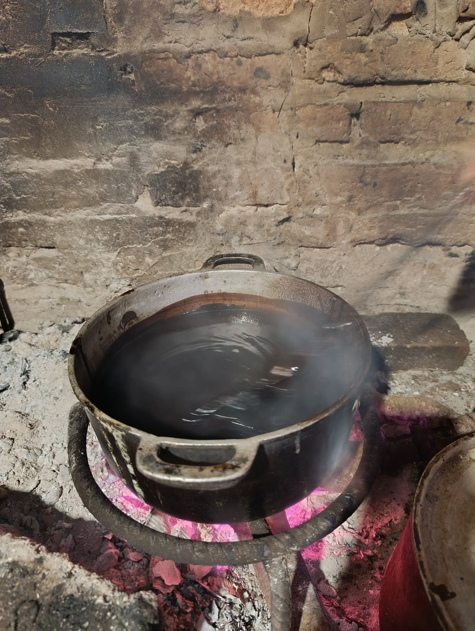 Ảnh 5